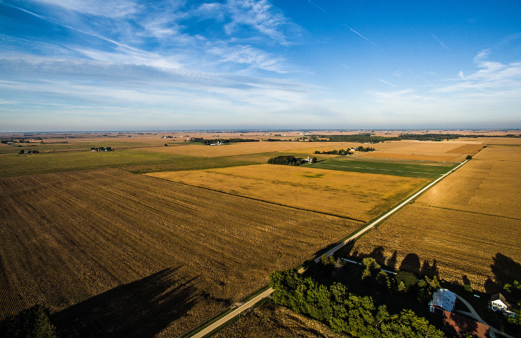 speculatieve grondhandel